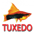 TUXEDO