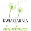 DMUCHAWCE