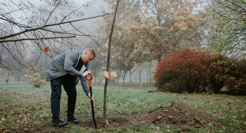 Kolejne „Drzewa Młodych Płocczan zostaną posadzone w Płocku. Ratusz czeka na zgłoszenia