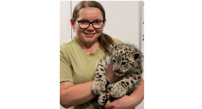 Kasia Ablewska z małą panterą śnieżną
