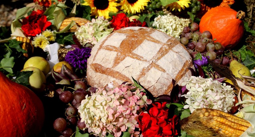 Zdjęcie poglądowe