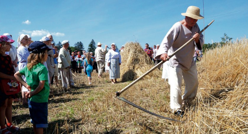 „Żniwa w skansenie” to jedna z plenerowych niedziel organizowanych w sierpeckim skansenie