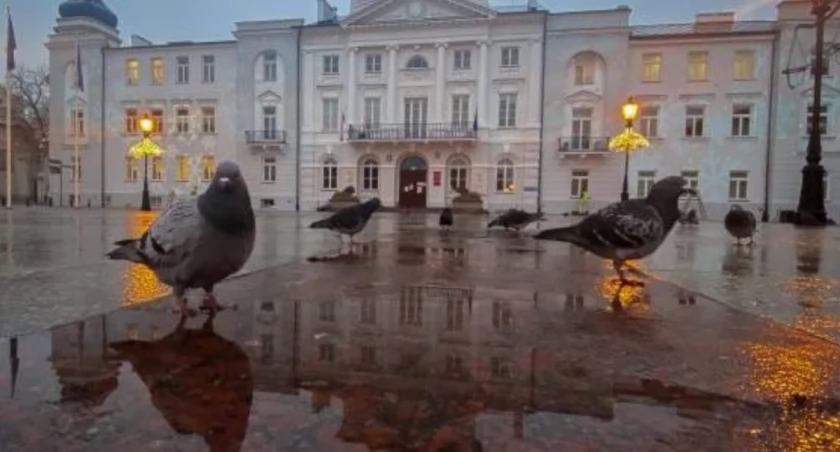 Urząd Miasta Płocka