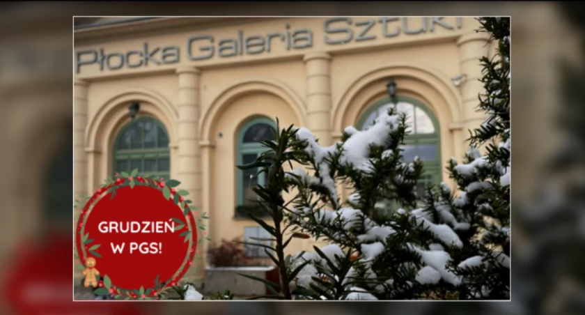 Płocka Galeria Sztuki