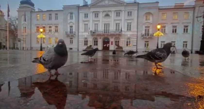 Urząd Miasta Płocka