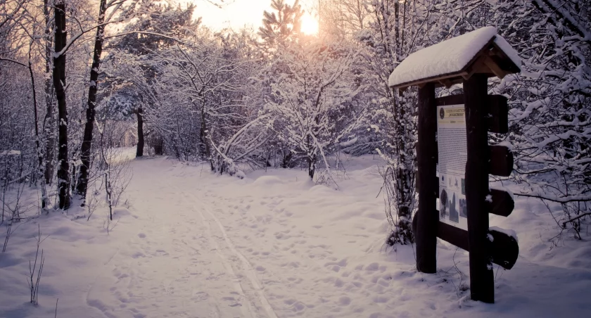 Fot. Kampinoski Park Narodowy  P. Garbowski