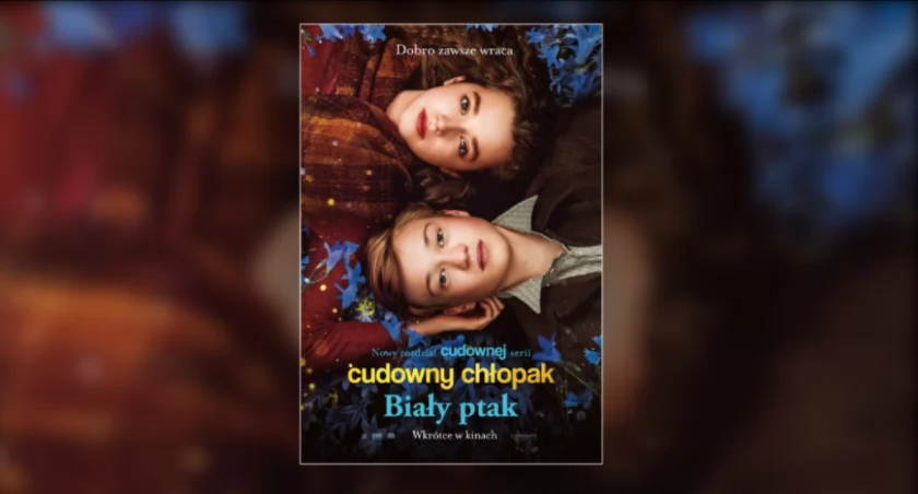 Plakat filmu 