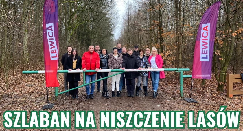 Płocka Lewica walczy o wstrzymanie wycinek drzew na terenie Gostynińsko-Włocławskiego Parku Krajobrazowego