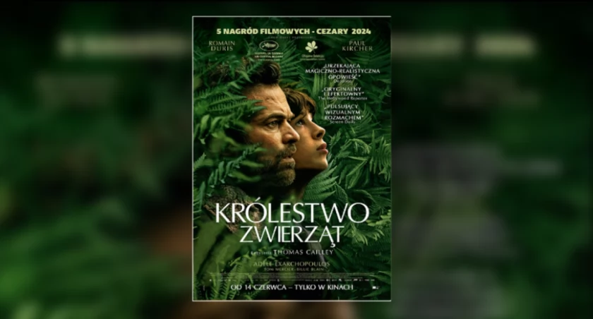 plakat filmu 