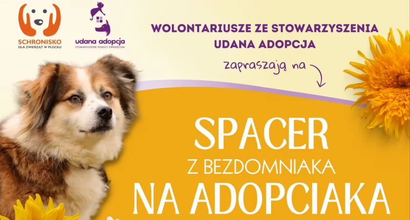 Na plakacie znajdziecie wszystkie dane dotyczące akcji