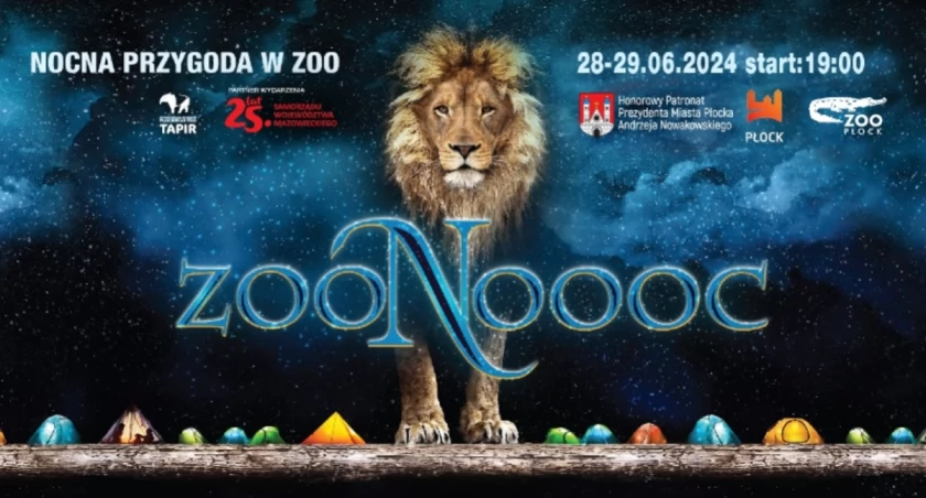 Oficjalny plakat ZOONOOOCY 