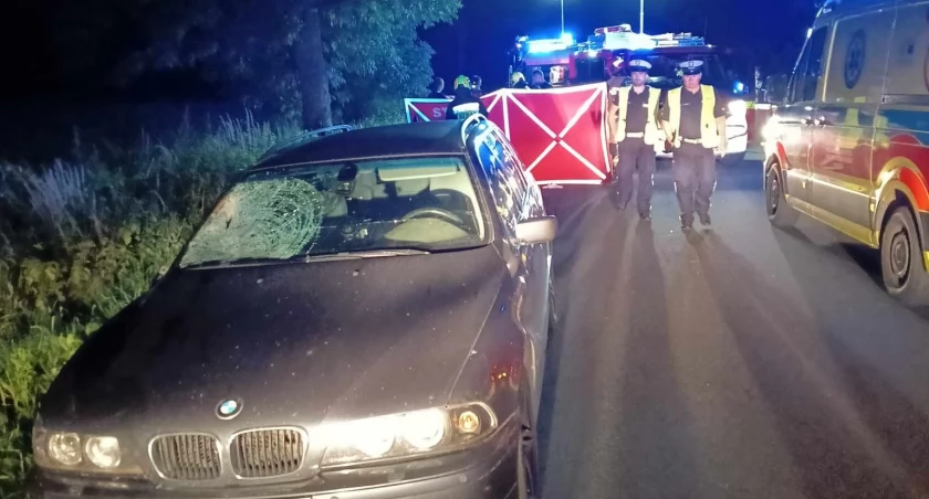 Na miejsce wypadku w Dzierżanowie przez kilka godzin pracowały służby ratownicze  