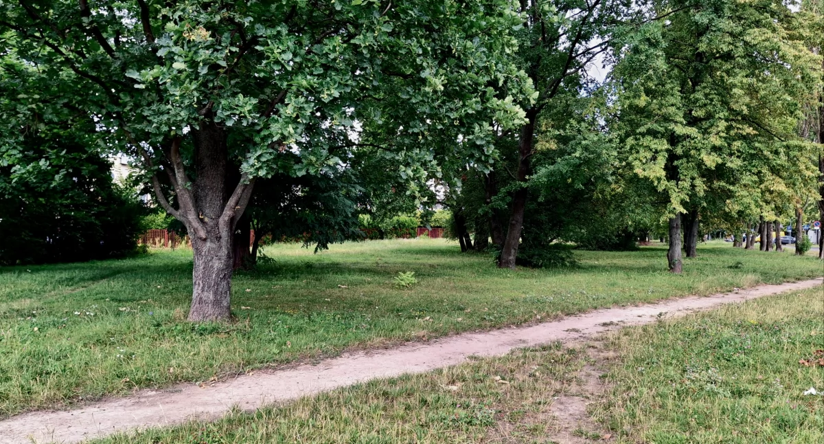 W ciągu 2,5 roku powstanie w Płocku jeden duży park oraz kilka mniejszych
