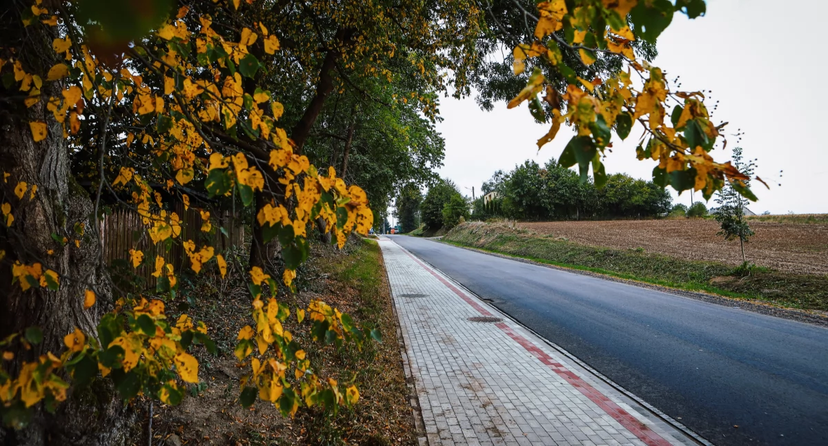Przebudowa odcina drogi powiatowej nr 2903W Brudzeń Duży–Karwosieki–Nowe Proboszczewice