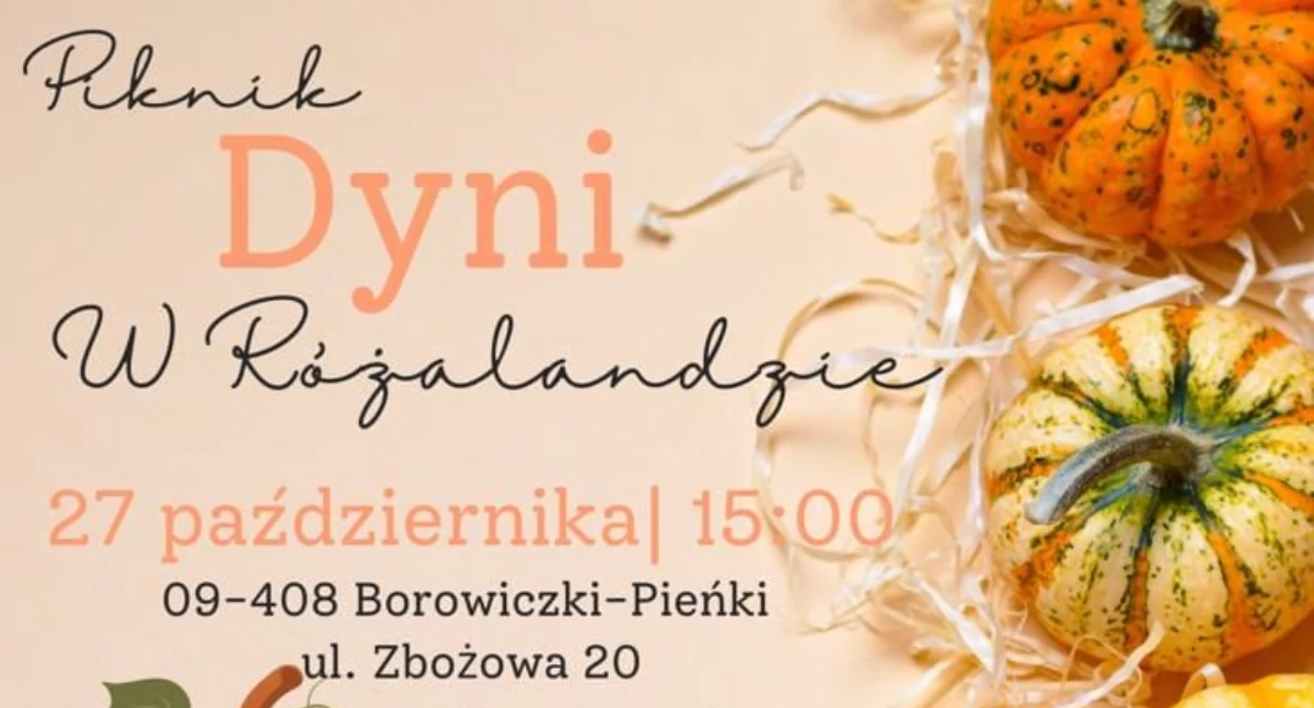 Warto wiedzieć, Piknik Różalandzie niedzielę Borowiczkach Pieńkach Płockiem - zdjęcie, fotografia