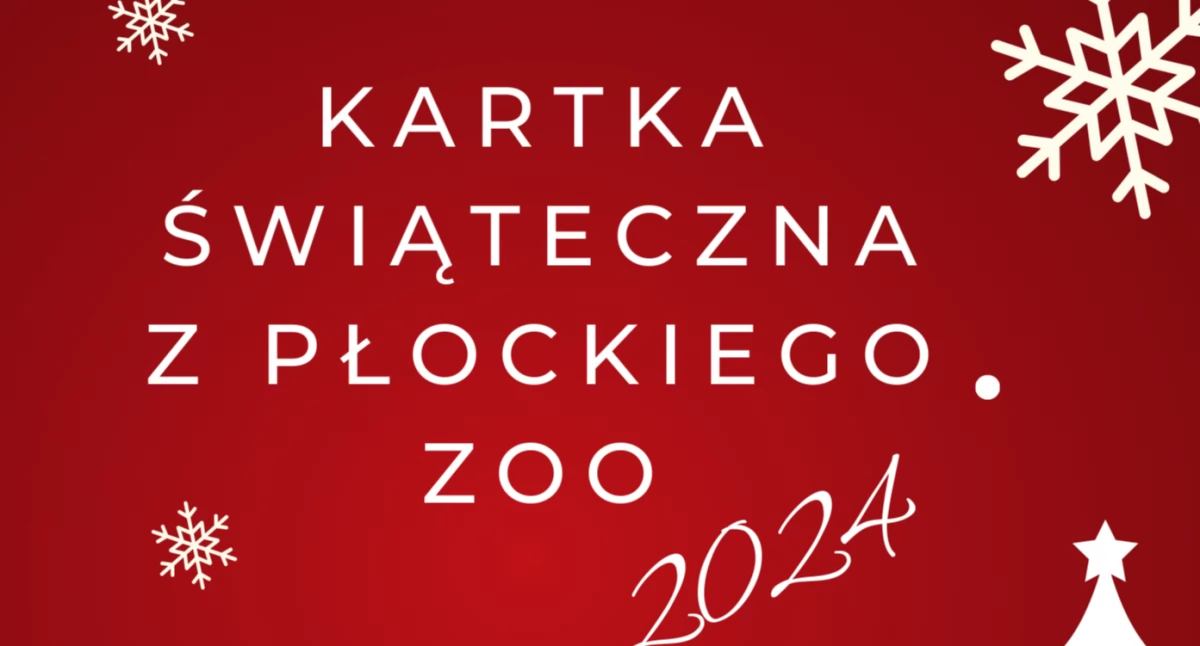 Warto wiedzieć, Płocku ogłosiło konkurs Czeka wasze pomysły kartki świąteczne! - zdjęcie, fotografia