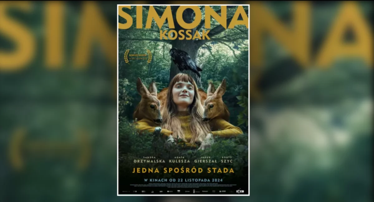 plakat filmu 