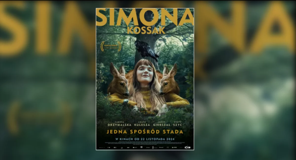 plakat filmu 