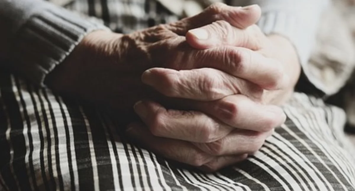 Straż miejska, Kolejna zagubiona centrum Płocka seniorka! latka potrafiła odpowiedzieć proste pytania - zdjęcie, fotografia