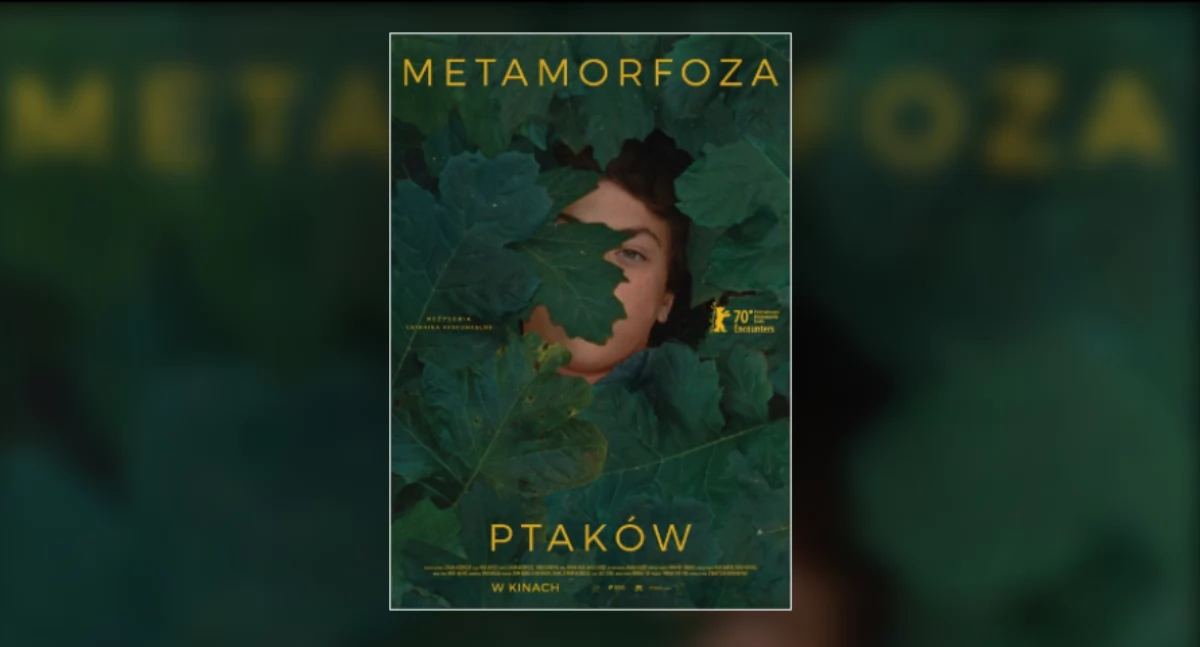Plakat filmu 