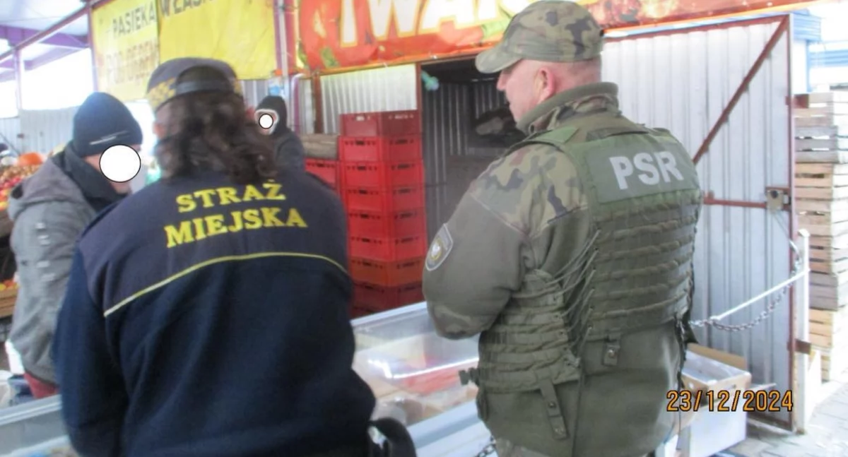 Straż miejska, Płocku trwają przedświąteczne kontrole stoisk rybami - zdjęcie, fotografia