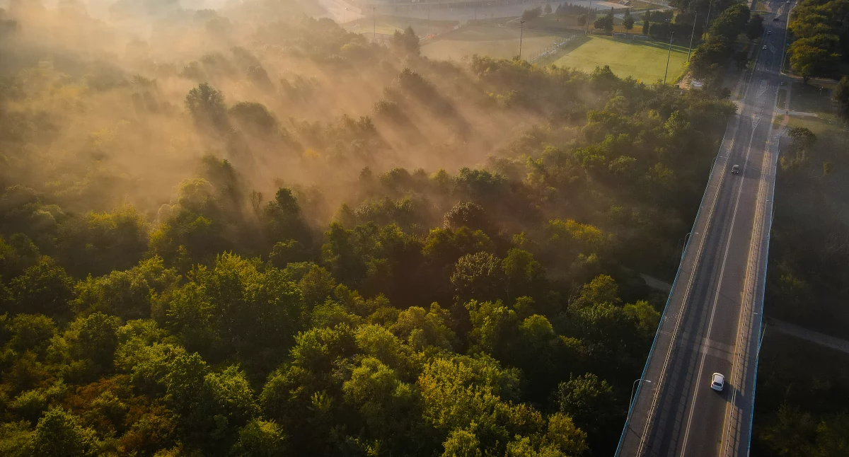 Warto wiedzieć, Płock Ostrzeżenie przed gęstą mgłą widzialność poniżej metrów! - zdjęcie, fotografia