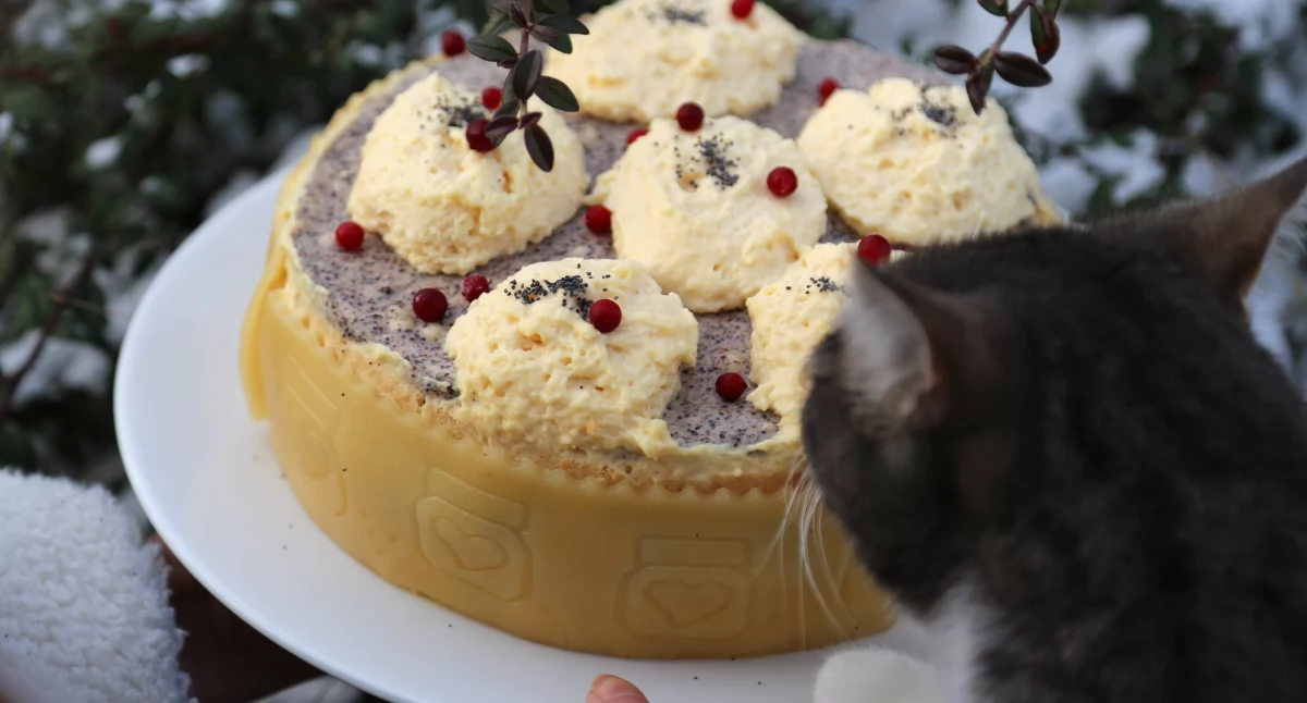 Makowy tort
