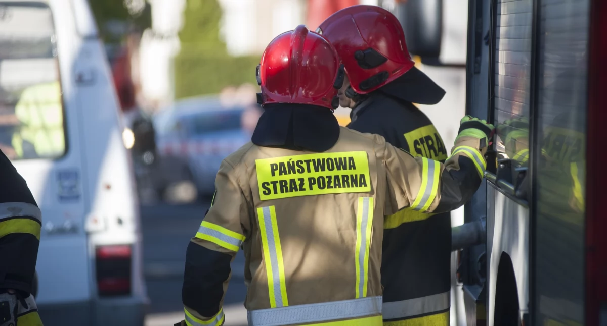 Straż pożarna, Pożar Lipiankach letniskowe ogniu - zdjęcie, fotografia