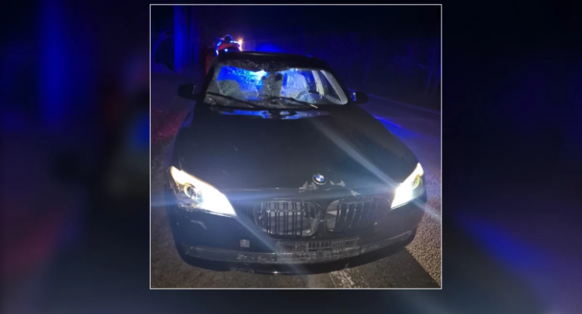 Kierujący samochodem marki BMW, nie miał szans na uniknięcie zderzenia