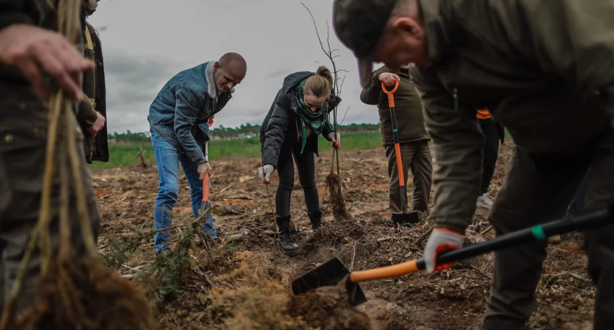 O tym się mówi, Dzień lasów powiecie płockim Więcej drzew gminie Mała Wieś - zdjęcie, fotografia