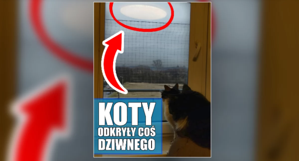 O tym się mówi, Płockiem odkryły dziwnego - zdjęcie, fotografia