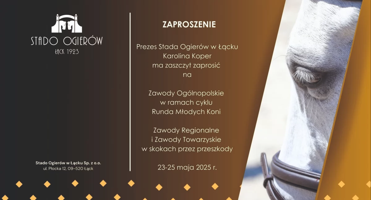 Warto wiedzieć, Płockiem weekend będzie można podziwiać widowiskowe zawody Stado Ogierów Łącku zaprasza - zdjęcie, fotografia
