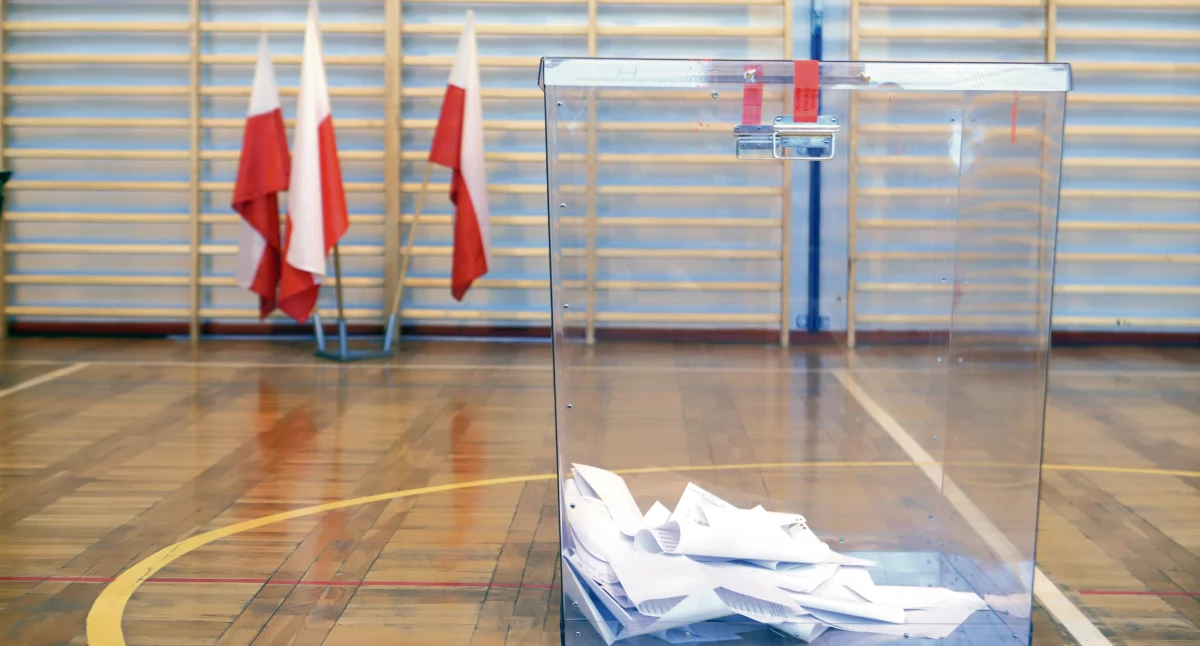 Wybory, Płock powiaty gminy Mazowsza Płockiego Gdzie Nawrocki gdzie Trzaskowski… - zdjęcie, fotografia