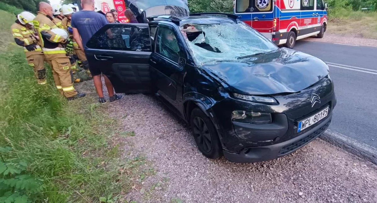 Samochód po zderzeniu z łosiem