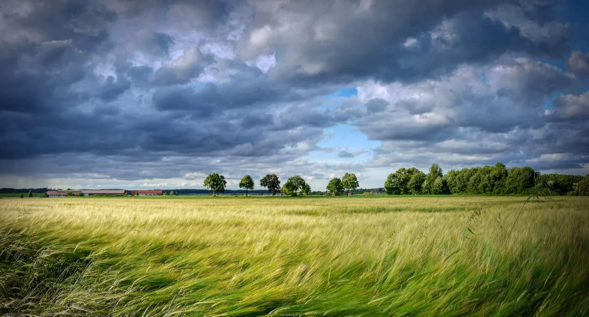 Pogoda, Nadciągają kolejne burze - zdjęcie, fotografia