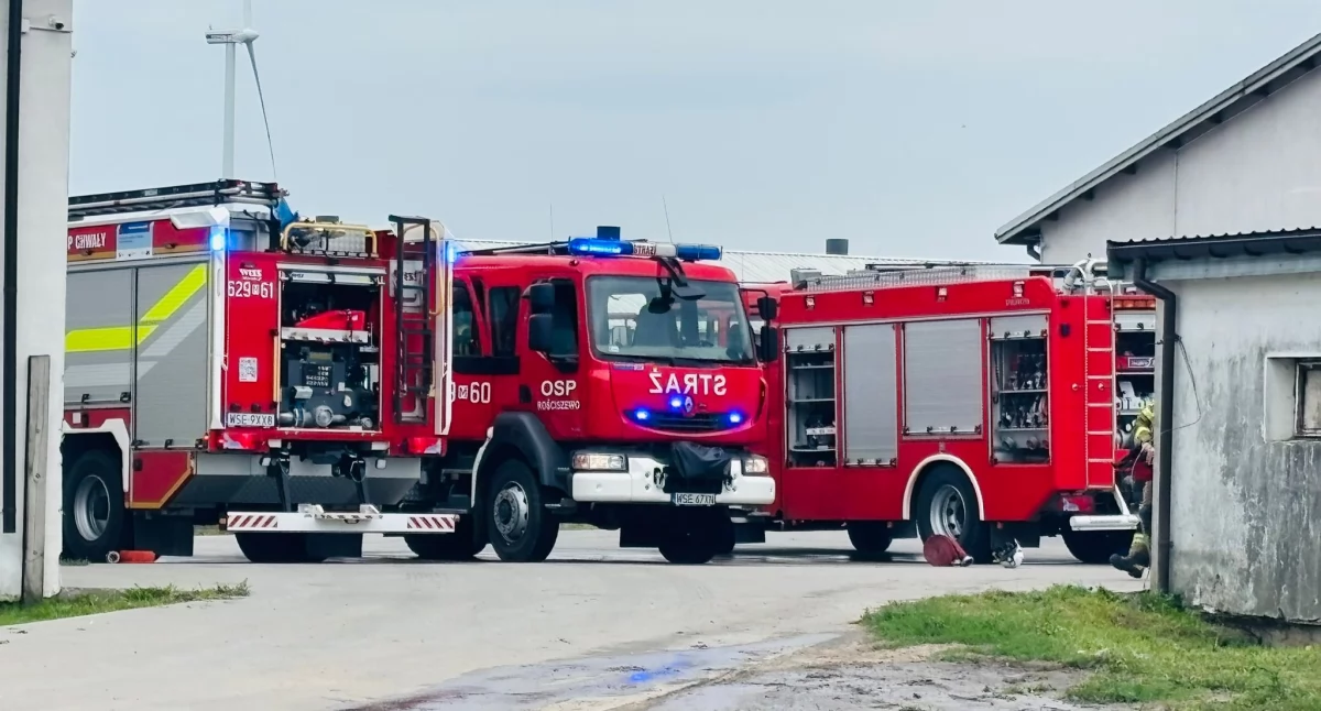 Pożar na fermie drobiu w miejscowości Babiec-Piaseczny, gm. Rościszewo.