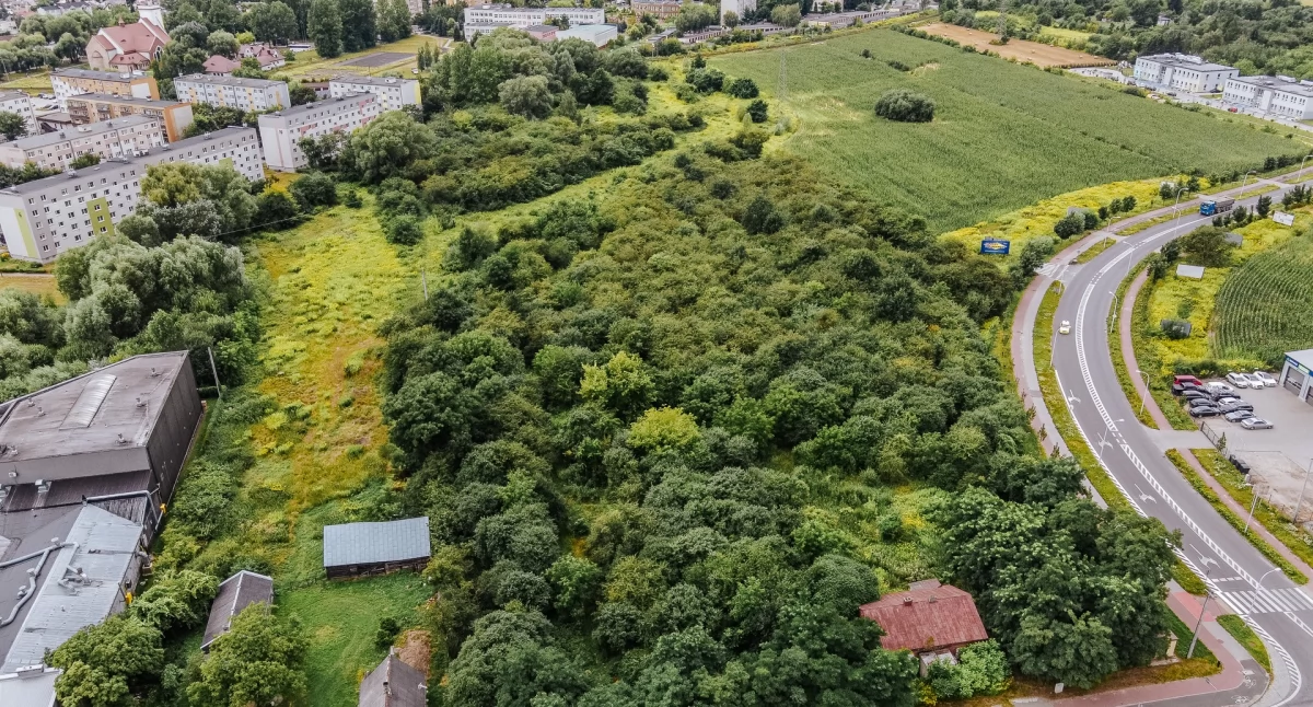 Warto wiedzieć, Płocku powstaną kolejne parki osiedlach Międzytorze Imielnica - zdjęcie, fotografia