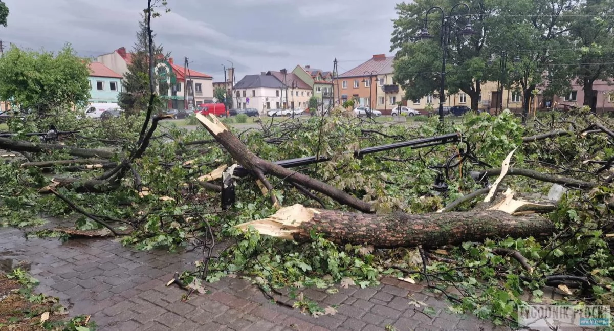 Krajobraz po nawałnicy