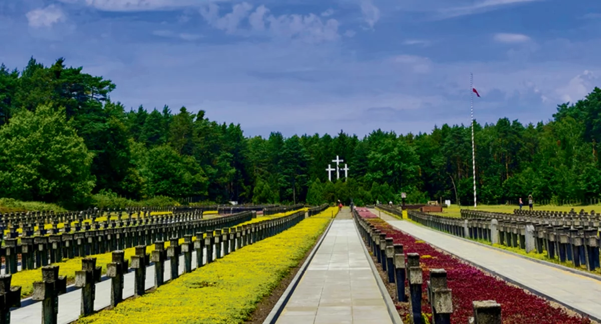 Turystyka, Centralny Młodzieży Palmirach kolorach jesieni Kampinosie - zdjęcie, fotografia