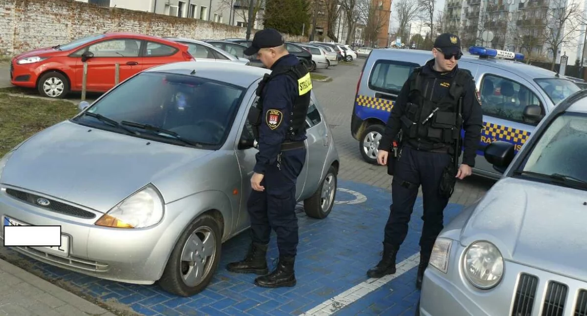 Straż miejska, Chcesz zostać strażnikiem miejskim października Płocku nabór chętnych - zdjęcie, fotografia