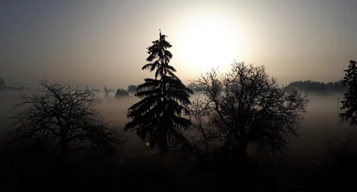 O tym się mówi, Uwaga kierowcy powiecie płockim! Wieczorem gęste mgły - zdjęcie, fotografia