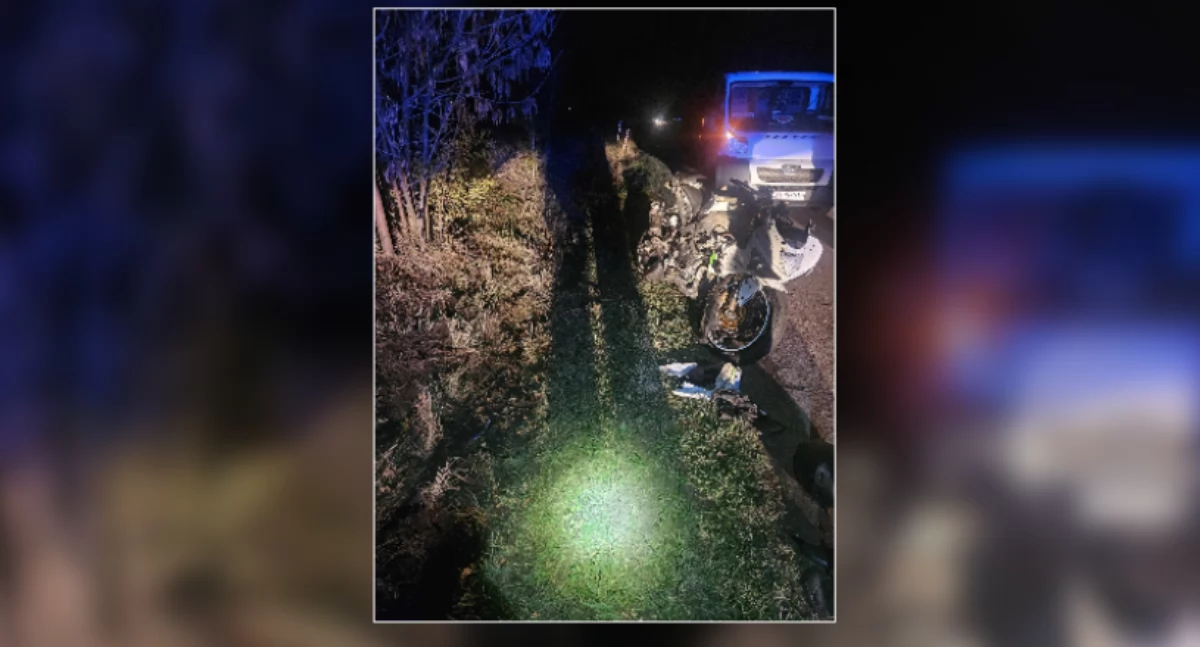 Wypadek z udziałem sarny w Nowej Górze 