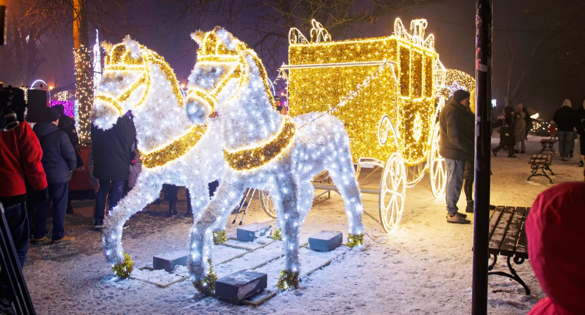 Płockie Ogrody Światła