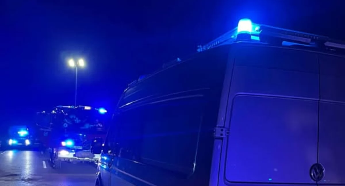 Wypadki, Łoś wyszedł drogę osoby dwóje dzieci trafiło szpitala - zdjęcie, fotografia