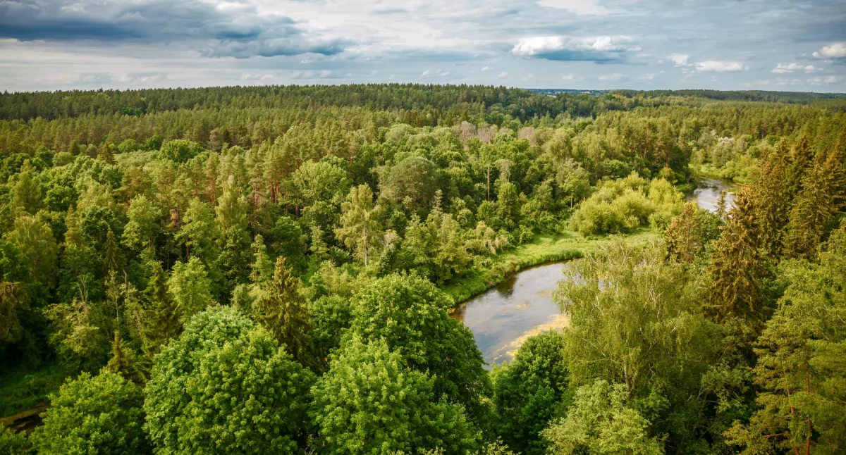 Inne, Bezpieczny wynajem granicą zwrócić uwagę Litwie - zdjęcie, fotografia