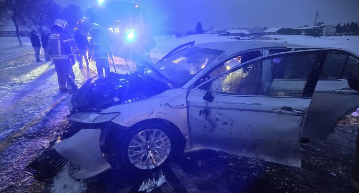 W Sikorzu samochód uderzył w drzewo