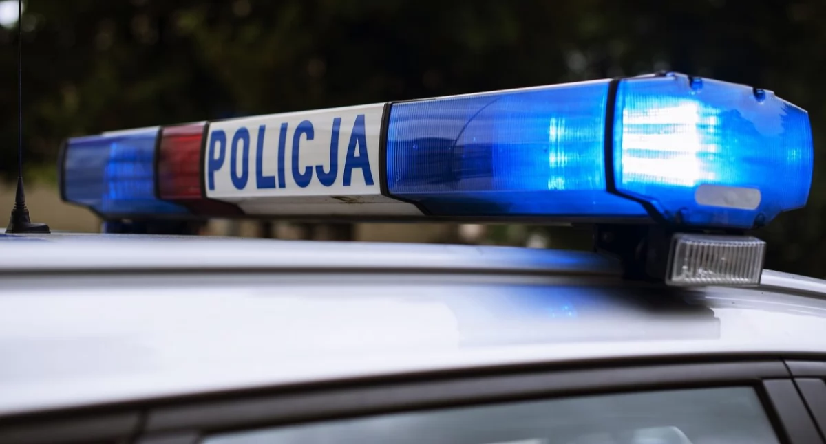 Wiadomości Policja , służbie wciąż służbie Policjant czasie wolnym rozpoznał poszukiwanego latka ulicach Płocka - zdjęcie, fotografia