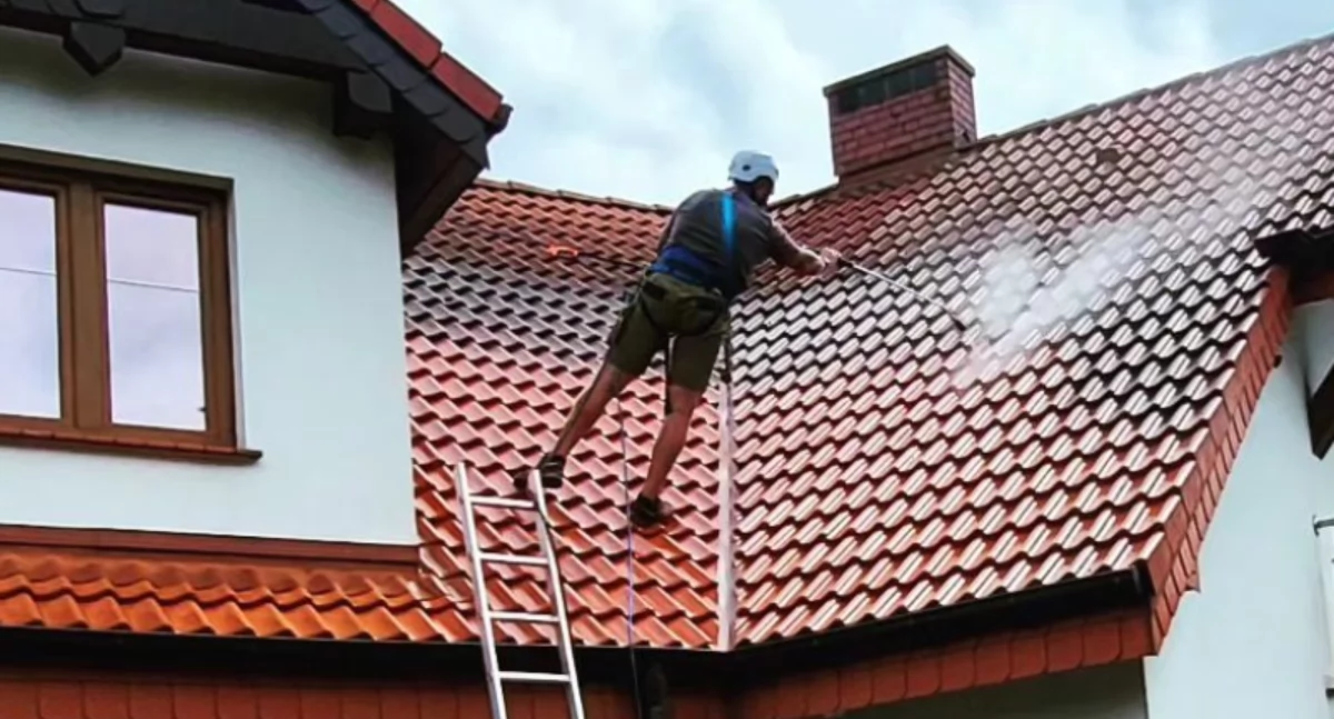 Inne, Zadbaj posesję wiosnę Dlaczego mieszkańcy regionu coraz częściej stawiają profesjonalne mycie kostki dachów - zdjęcie, fotografia