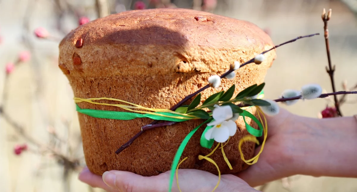 Włoska babka panettone 