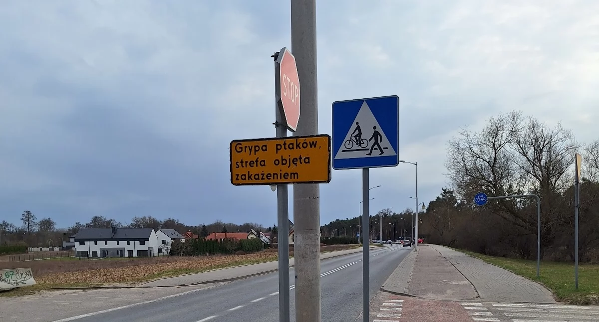 Wokół Nas, Wysoce zjadliwa grypa ptaków Borowiczkach Prawda Trzeba - zdjęcie, fotografia